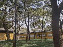-西园戒幢律寺