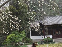 -团城山公园