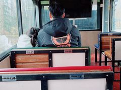 -合肥滨湖国家森林公园