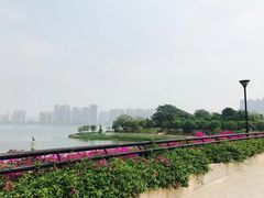 -江心岛