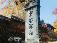 -灵谷景区
