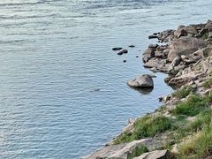 -金海湾滨江公园