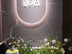 -小仙女采耳·按摩·SPA(深圳旗舰店)