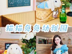 -猫猫幼稚园·撸猫·桌游·电玩