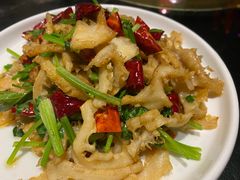 -蒙料·手把肉(望京店)