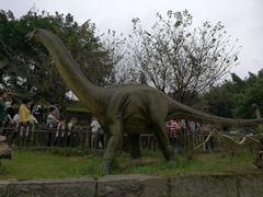 -自贡恐龙博物馆