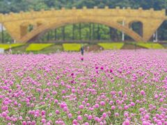 -海心沙亚运公园