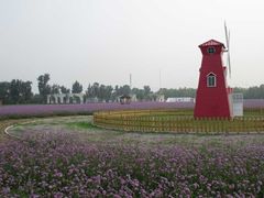 -北京东方普罗旺斯薰衣草庄园
