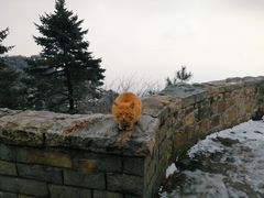 -泰山风景名胜区