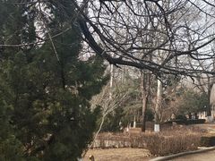 -前关湿地公园