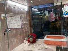 -FAELING PETS美天灵宠物(富力广场店)