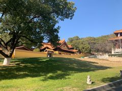 -太子山公园(园东路)