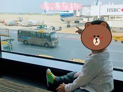 -上海浦东国际机场-T2航站楼