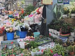 -循礼门鲜花花市(武汉循礼门店)