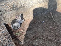 -安塔利亚博物馆