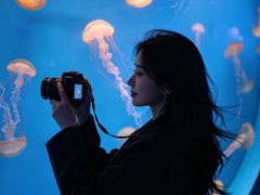-合肥海洋世界