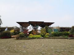 -上海长兴岛郊野公园