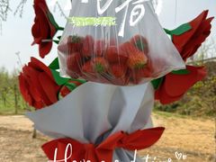 -兴芮温泉度假区