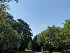 -神光山国家森林公园