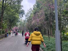-重庆彩云湖湿地公园