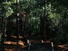 -龙泉寺