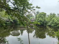 -西溪国家湿地公园