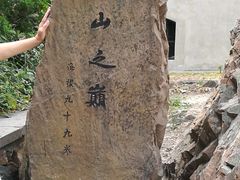 -上海佘山国家森林公园东门地面停车场