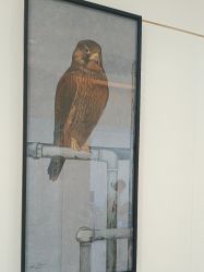 -AIST爱思特医疗美容医院