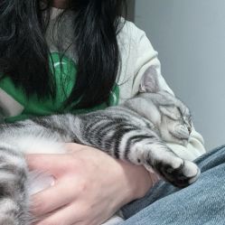 -HEYAN荷妍专业脱毛连锁机构