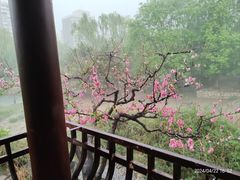 -元大都城垣遗址公园