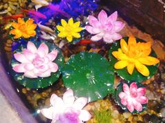 -蓝天宾馆·融合菜·宴席(解放大道店)