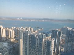 -柴犬小屋·柴餐厅·狗咖食堂(金鼎广场店)