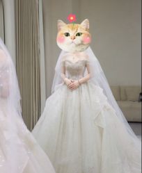-南京宝娜嫁衣婚纱礼服馆(中央路店)