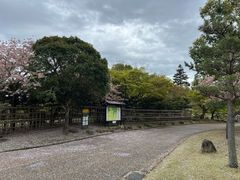 -奈良公园