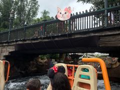 -奥兰多迪士尼动物王国乐园