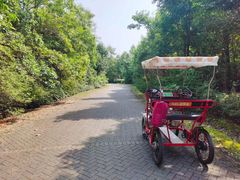 -上海海湾国家森林公园