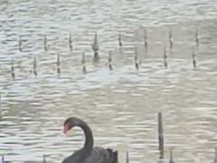 -蓬莱欧乐堡梦幻世界