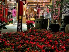 八宝椰子饭-良昌老味·海南老字号