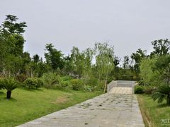 -瑶湖郊野森林公园