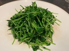 鸡油腊味炒豆苗-潮界(虹桥新天地店)