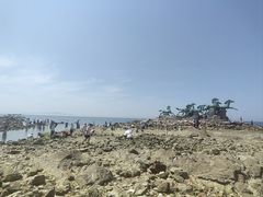 -养马岛旅游度假区