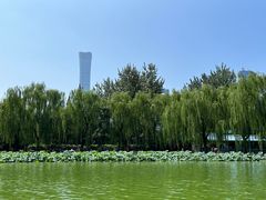 -团结湖公园