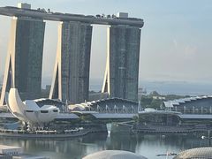 -新加坡瑞士史丹福酒店