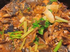 -老板恋上鱼(印象城店)