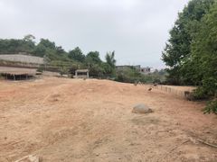 -泉州海丝野生动物世界