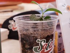 -SAFARI COFFEE