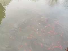 -亭林公园