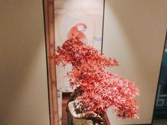 -顺峰(农展馆店)