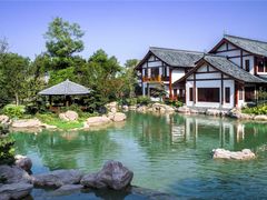 -铁山坪森林公园