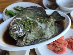 燕子鱼-蓝湾碧波·老字号·疍家非遗海上餐厅
